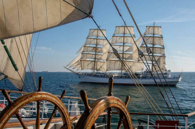 Крузенштерн парусник регата