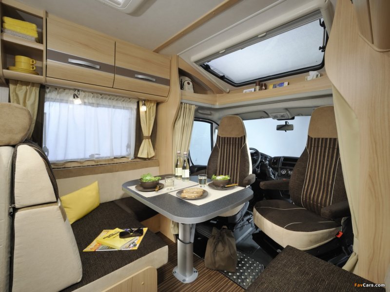 Camper Torsus