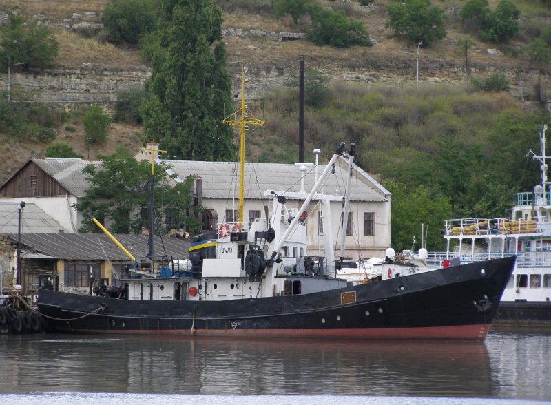 Художник Бэлла Оссовская Белла
