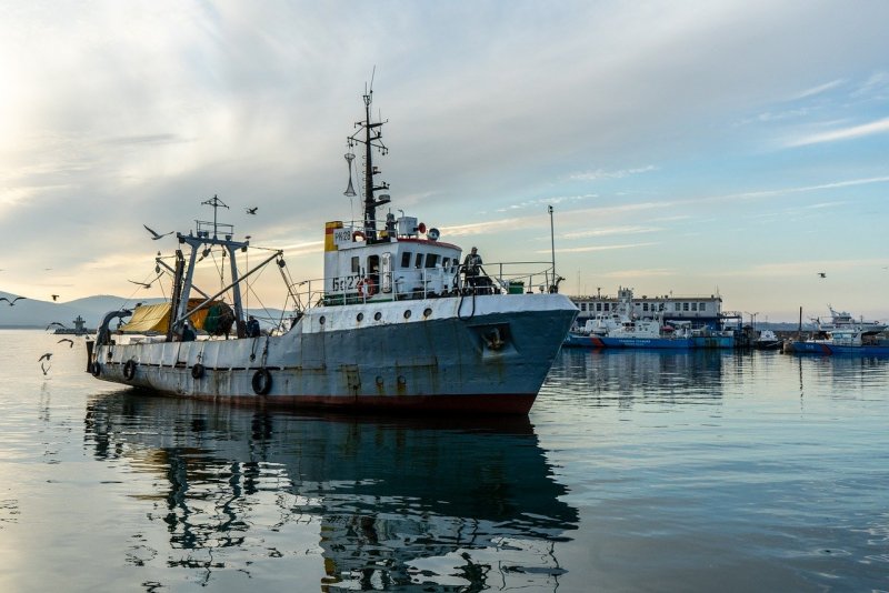 Рыболовное судно (Fishing Vessel)