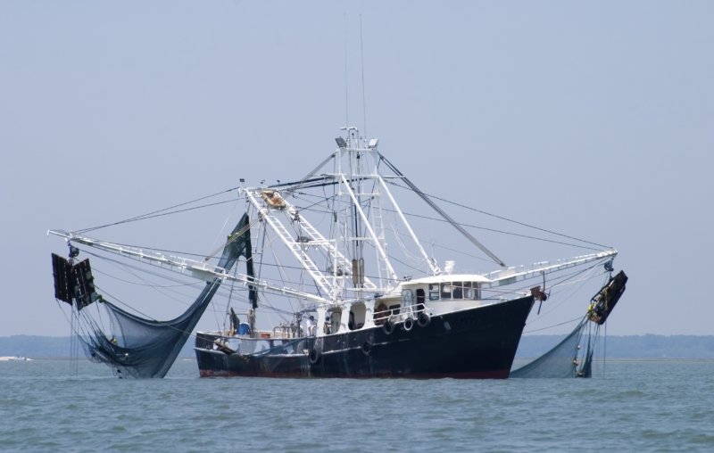 Рыболовное судно (Fishing Vessel)