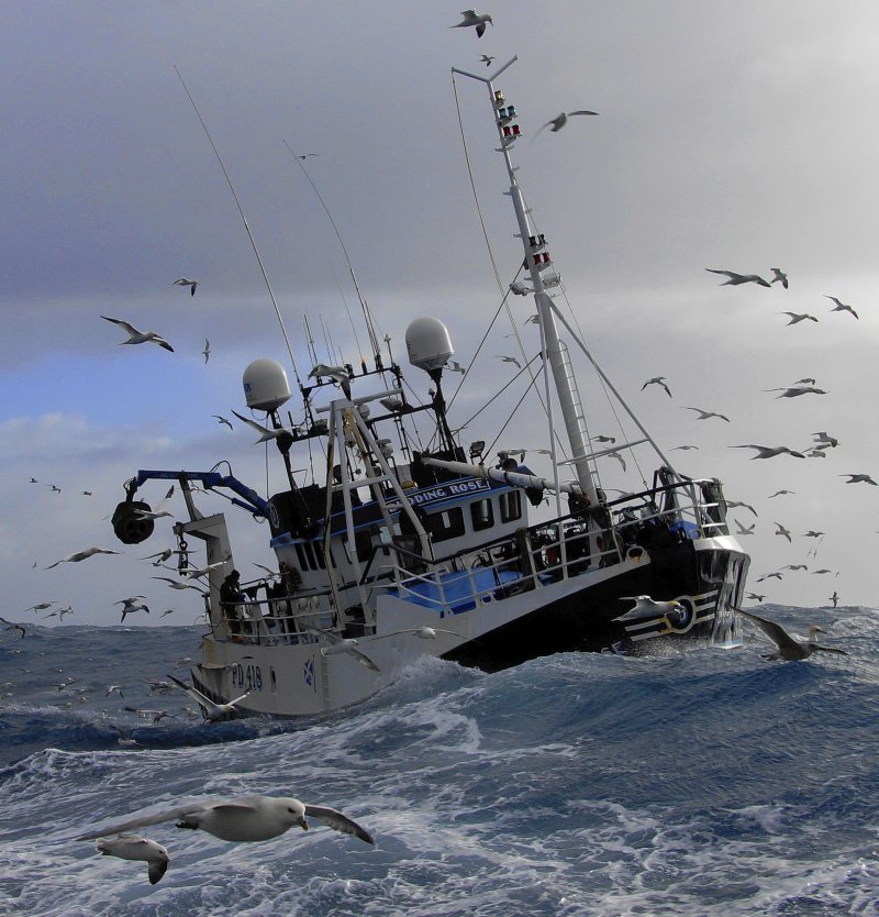 Рыболовное судно (Fishing Vessel)