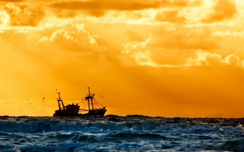 Рыболовное судно в море