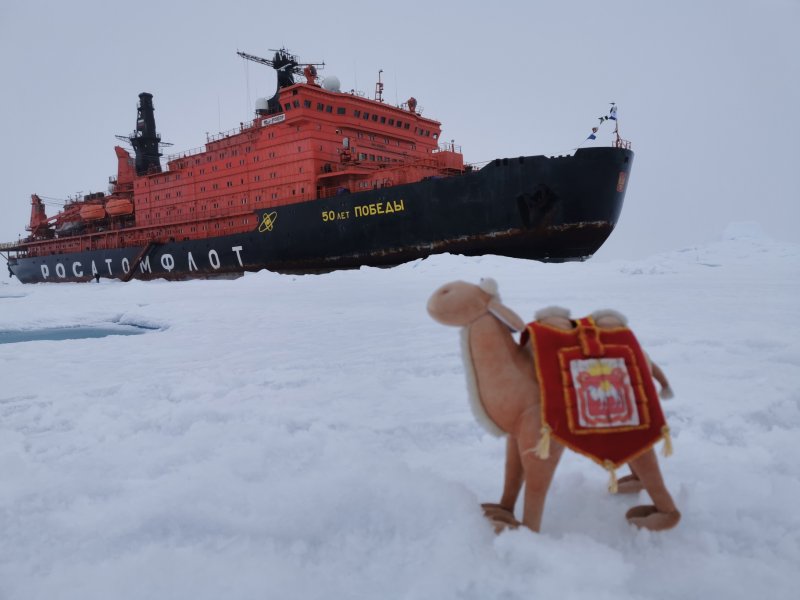 Росатом круиз на Северный полюс