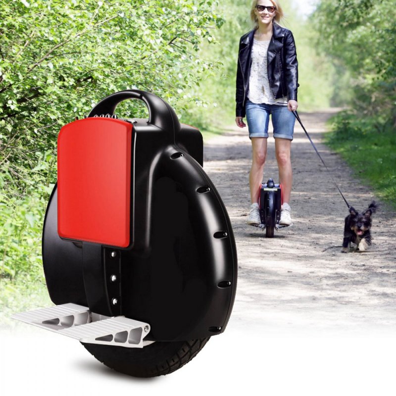 Моноколесо Solowheel Classic