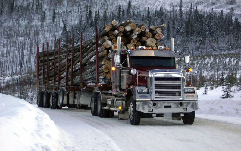 Peterbilt 379 с большим спальником
