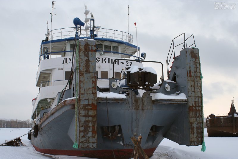 Дунайский 22 толкач