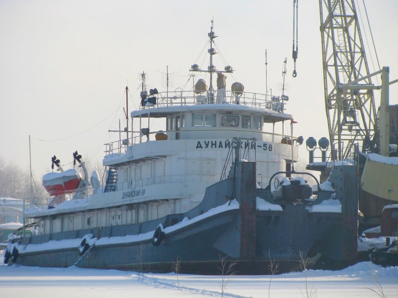 Толкач Дунайский 66