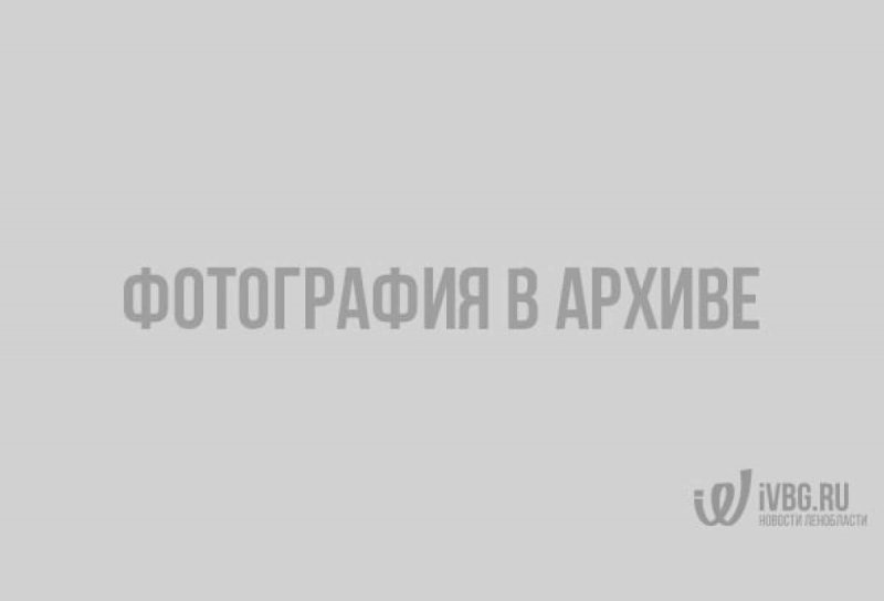 Лунная Соната круизный теплоход