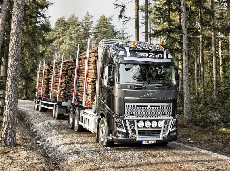 Volvo FH лесовоз