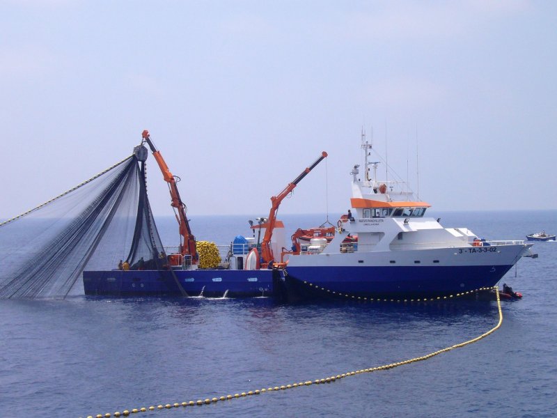Blue Tuna Vessel