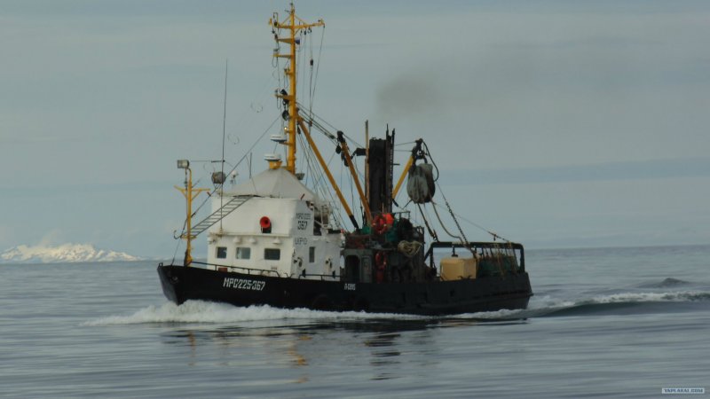 Сейнер МРС-225.