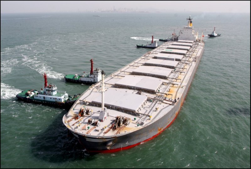 Bulk Carrier ( Capesize)