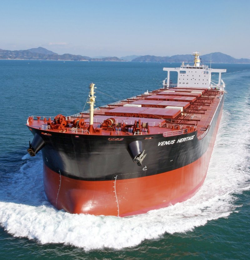 Bulk Carrier ( Capesize)