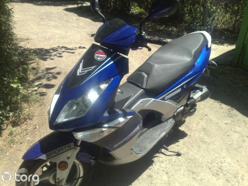 Irbis ZRS yb50qt Sabur