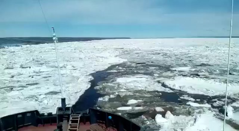 Северный морской путь Караван судов