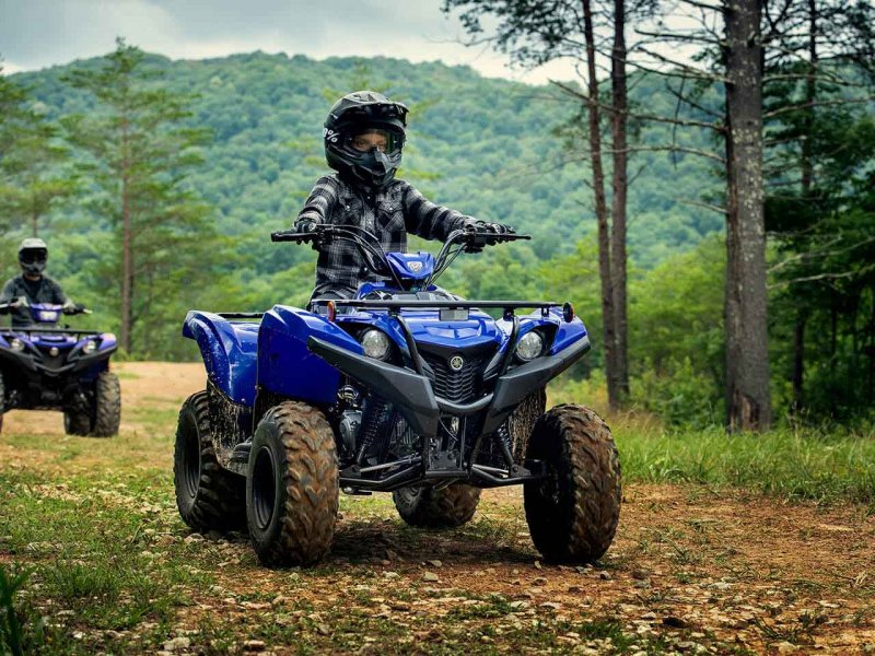 Yamaha Grizzly 2020