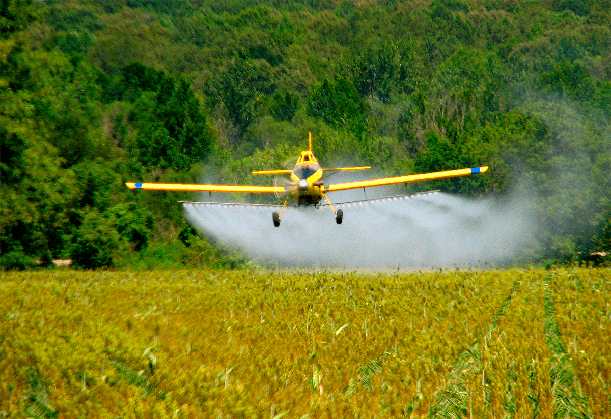 Обработка полей пестицидами. Сельскохозяйственный самолет. Самолет опрыскиватель. Обработка полей авиацией. Распыление пестицидов.