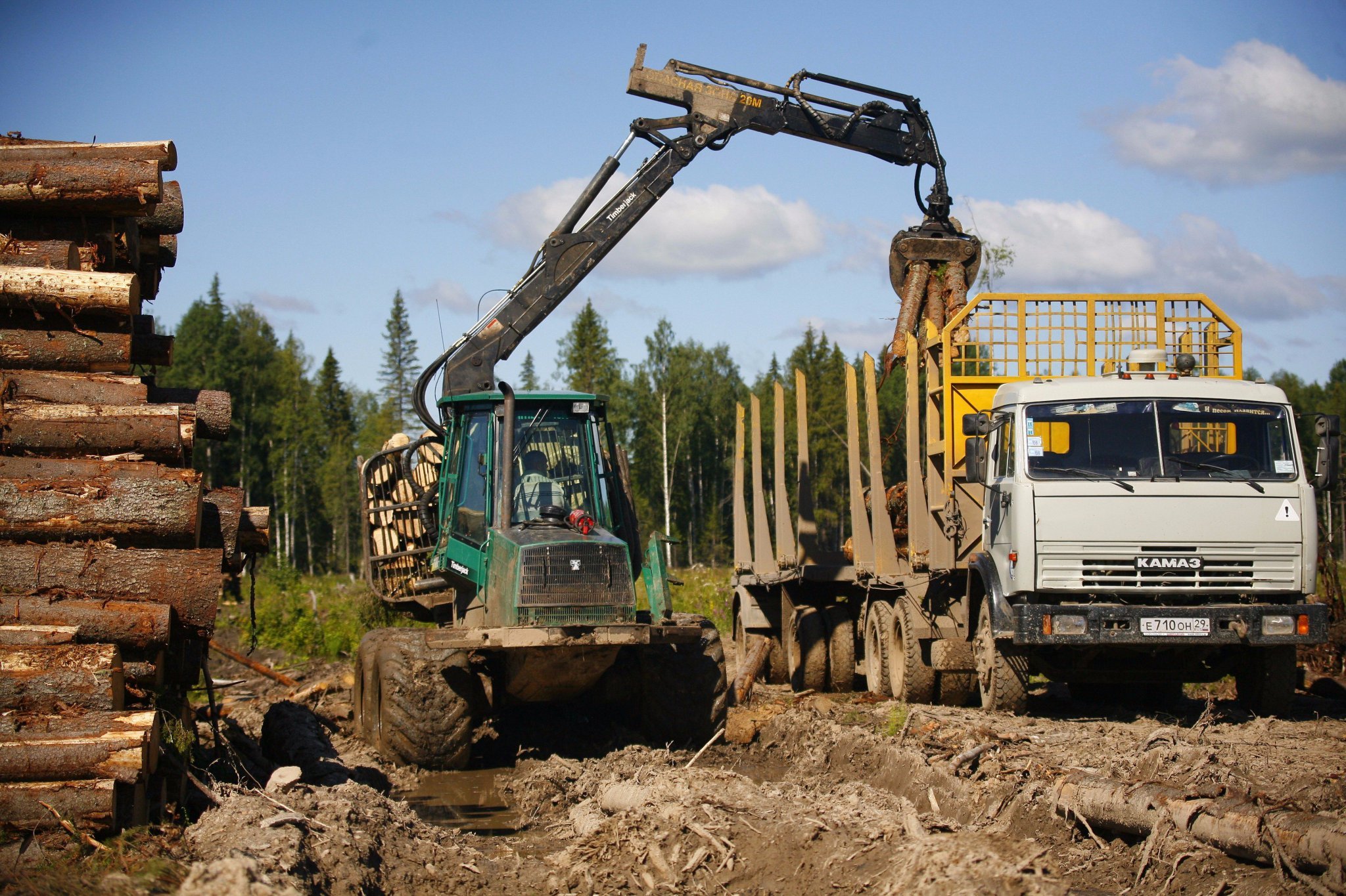 Экономика в лесной отрасли. МАЗ 509 леспромхоз. Лесозаготовительный комплекс КАМАЗ. Лесная промышленность. Заготовка древесины.
