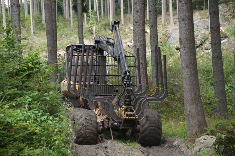 Посадка лесных культур механизированным способом