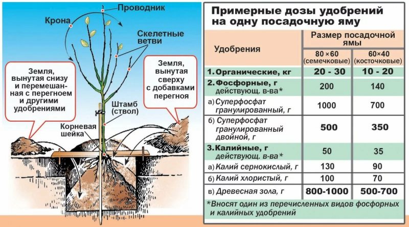 Машина для внесения жидких органических удобрений МЖУ-16