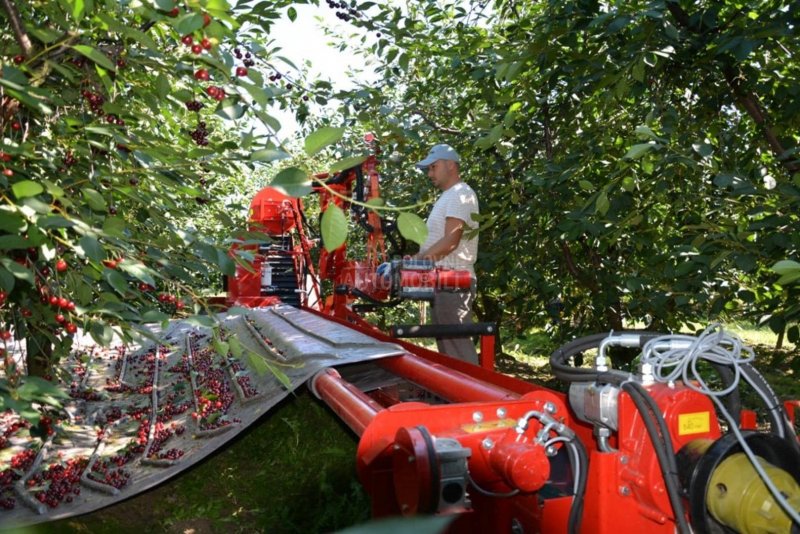 Комбайн для сбора фруктов Revo Puima