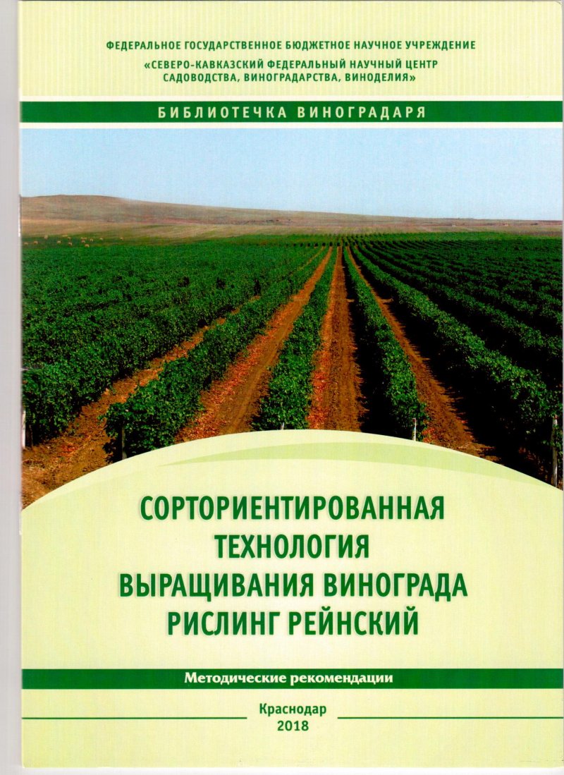 Ежемалина Кимберли шпалера