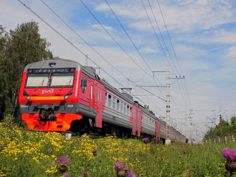 Эд4м Санкт-Петербург