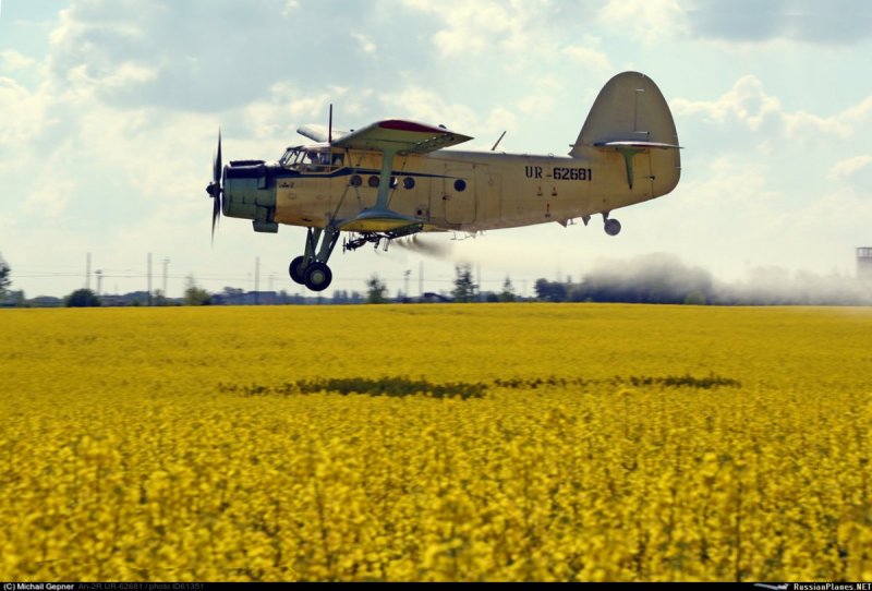 Кукурузник ан2 в поле