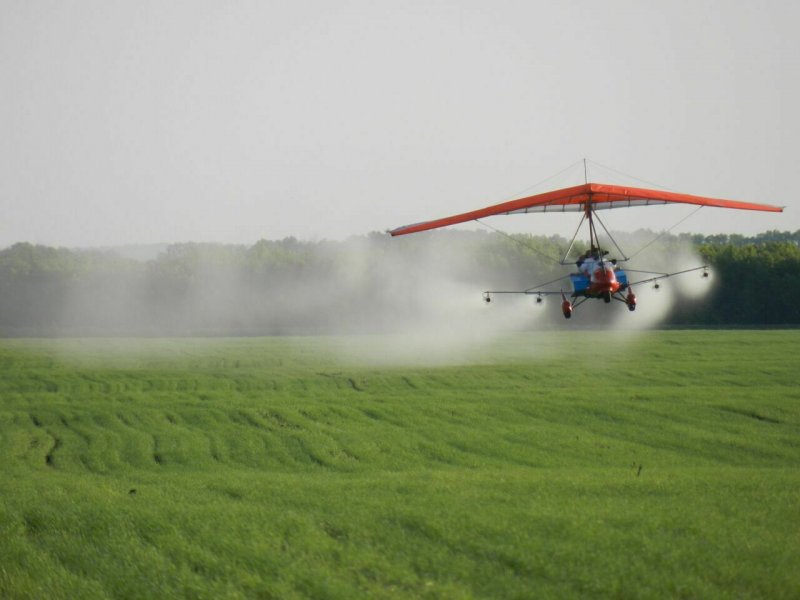 Кукурузник АН-24