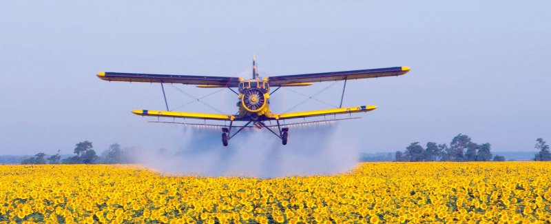 АН-2 пассажирский самолёт
