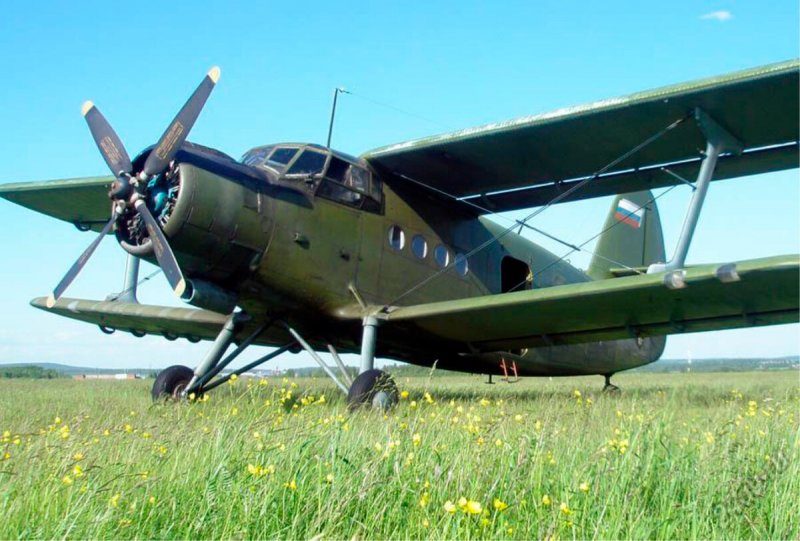 Embraer Ipanema 203