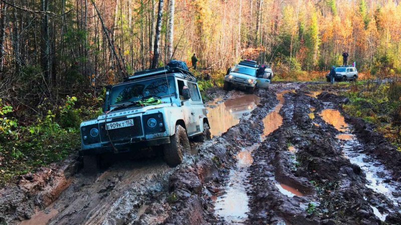 Бездорожье в лесу