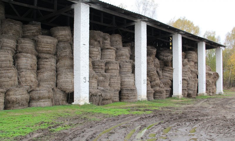 Мельница крупорушка старинная
