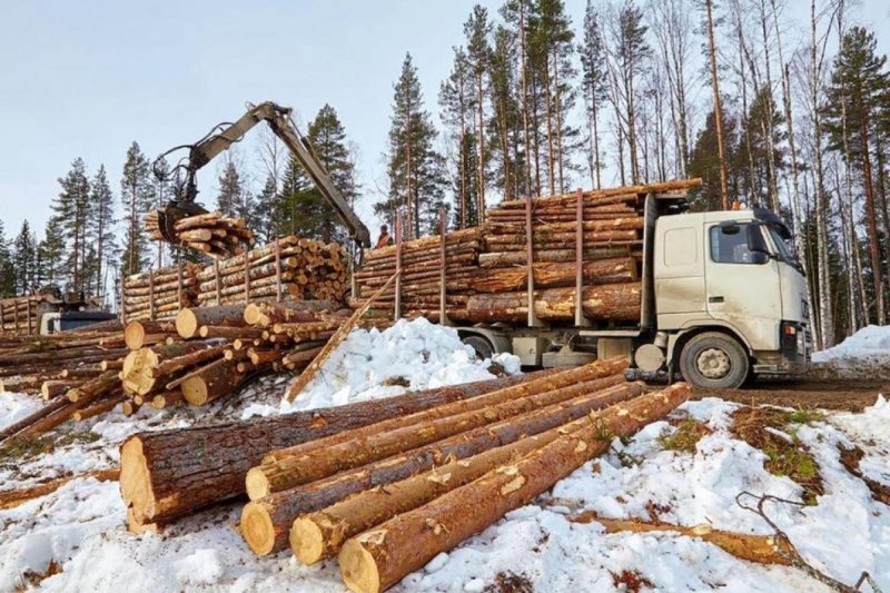 Муезерский леспромхоз