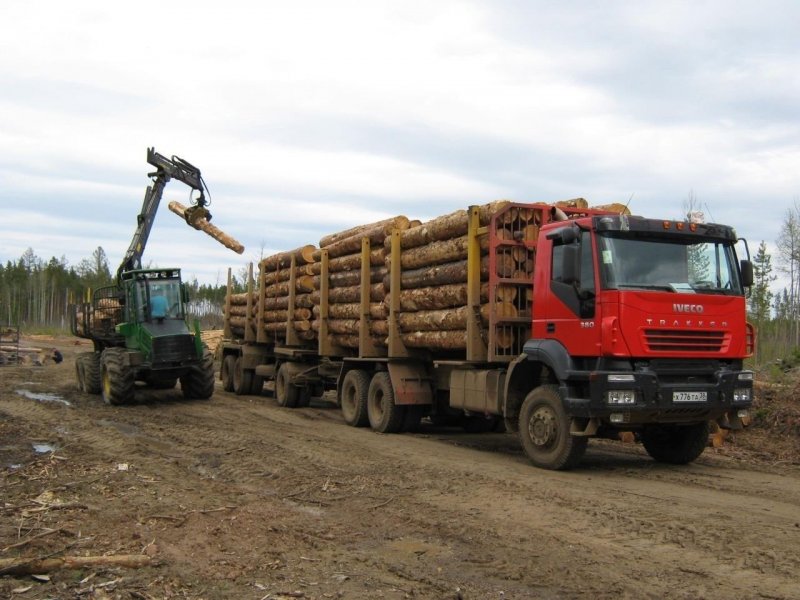 Iveco Trakker 6x6 лесовоз