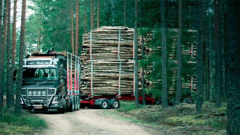 Volvo fh16 сортиментовоз