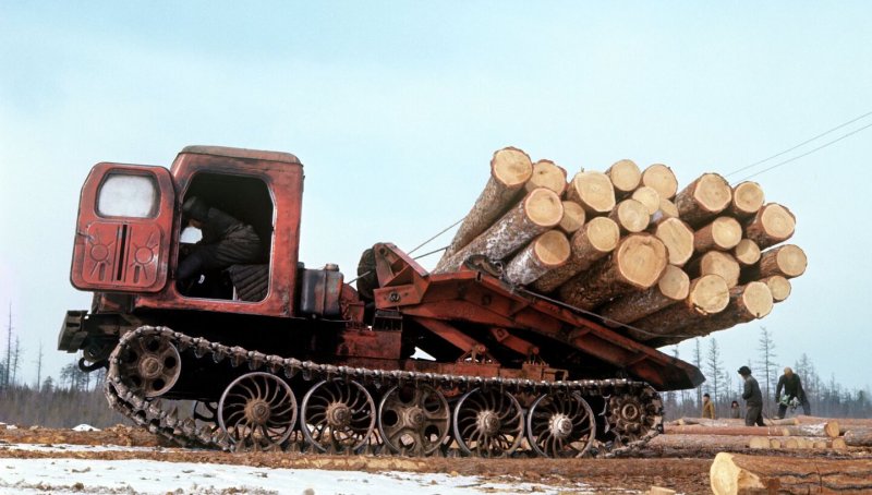 Трактор ТТ 55 Лесозаготовительная техника