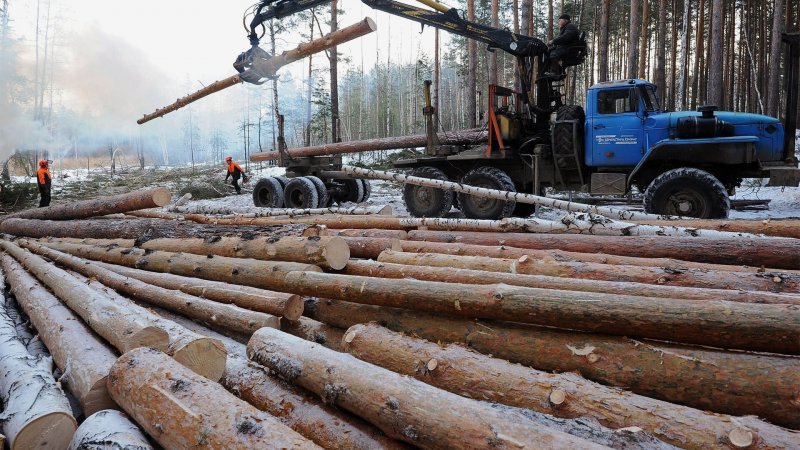 Лесопромышленный комплекс Восточной Сибири