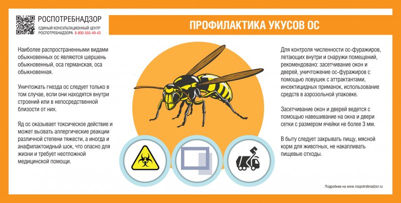 Фуражир морровинд