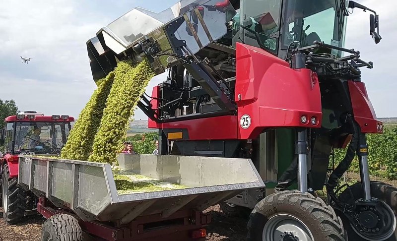 Виноградоуборочный комбайн New Holland