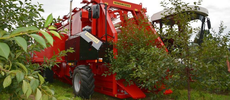 Виноградоуборочный комбайн New Holland