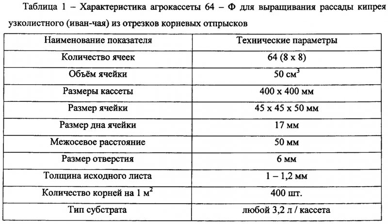 Чайные плантации в Японии