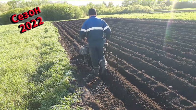 Борозды для картошки