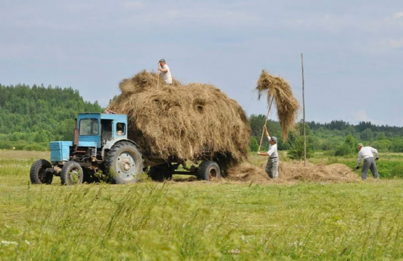 Сенокос трактор