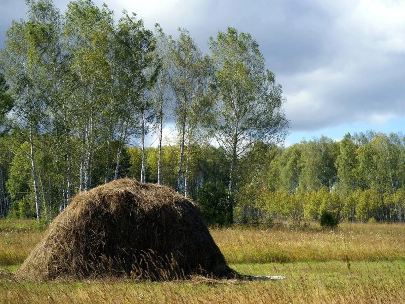 Сенокос стог сена