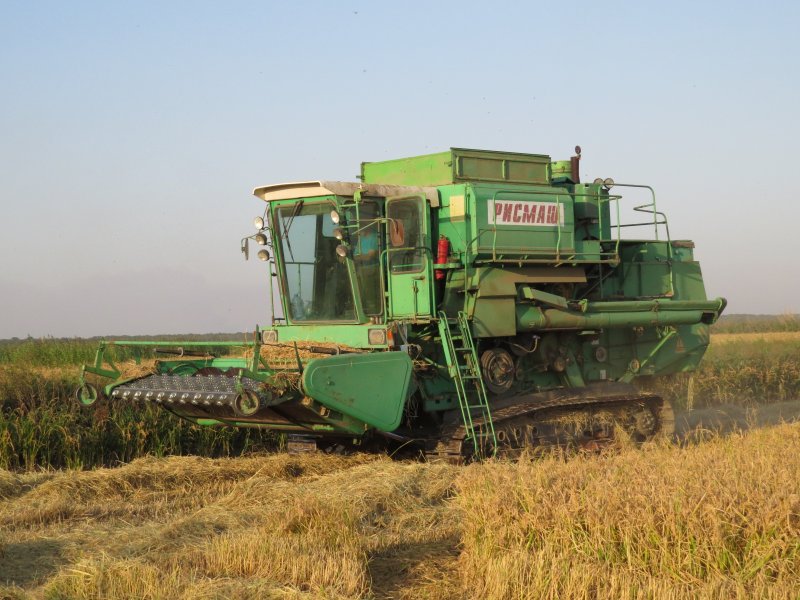 Комбайн кедр 1200