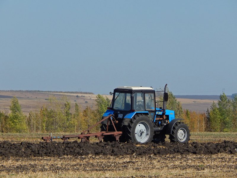 Трактор Беларус 1221 пашет