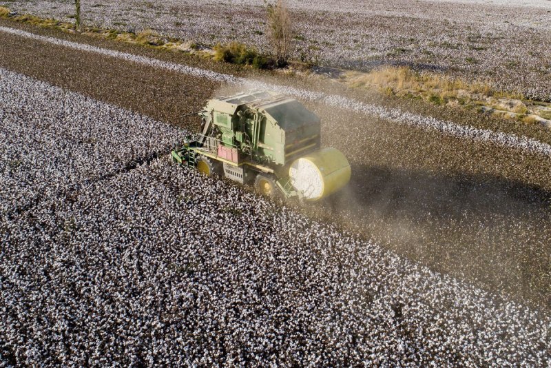 Case IH хлопкоуборочный комбайн