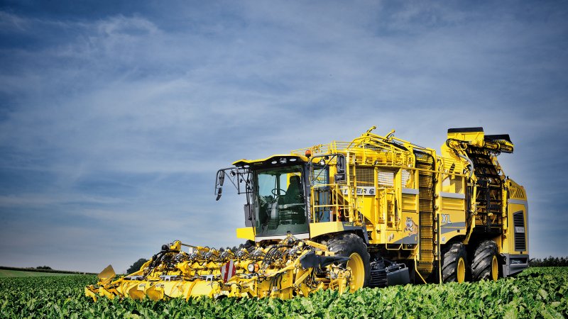Holmer Terra Felis 2